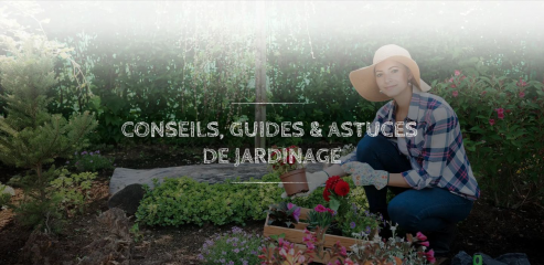 https://www.jardin-passions.fr